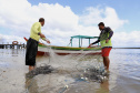 A pesca artesanal, que garante renda para cerca de 6 mil famílias no litoral paranaense, é tema da nova campanha de educação ambiental da Portos do Paraná. A empresa pública promove ações de comunicação e valorização da atividade, aproveitando o aumento no número de veranistas nas praias do Estado.