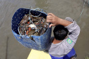 A pesca artesanal, que garante renda para cerca de 6 mil famílias no litoral paranaense, é tema da nova campanha de educação ambiental da Portos do Paraná. A empresa pública promove ações de comunicação e valorização da atividade, aproveitando o aumento no número de veranistas nas praias do Estado.