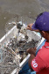 A pesca artesanal, que garante renda para cerca de 6 mil famílias no litoral paranaense, é tema da nova campanha de educação ambiental da Portos do Paraná. A empresa pública promove ações de comunicação e valorização da atividade, aproveitando o aumento no número de veranistas nas praias do Estado.