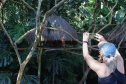 04/2019 - Foz do Iguaçu - Parque das Aves. Foto: José Fernando Ogura/AEN