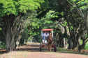 Hotel Fazenda Itacorá. Itaipulândia. Foto: José Fernando Ogura/AEN