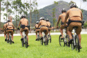 Policiais militares passam por capacitação de ciclopatrulhamento no Litoral
. Foto:PMPR
