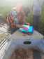 Força-Tarefa reforça combate à pesca predatória e desmatamento no Paraná. FOTO:SEDEST