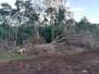 Força-Tarefa reforça combate à pesca predatória e desmatamento no Paraná. FOTO:SEDEST