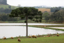 Foto: Jaelson Lucas/AEN