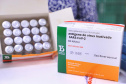 O Paraná recebeu nesta segunda-feira (25) um novo lote de vacinas com 39.600 doses contra a Covid-19, o terceiro em uma semana. Os imunizantes serão usados prioritariamente na proteção dos trabalhadores que estão na linha de frente do combate à pandemia, já que a Secretaria de Estado da Saúde (Sesa) confirmou que finalizou o processo de vacinação de dois importantes setores dentro do grupo prioritário.