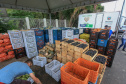 Permissionários atacadistas da Ceasa Curitiba fazem doação 25 toneladas de alimentos para entidades beneficentes de Curitiba e Região Metropolitana, além de famílias atingidas pelas chuvas em Irati, na região Centro-Sul do Estado. - Curitiba, 29/01/2021 - Foto: Veldelino Pontes