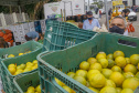 Permissionários atacadistas da Ceasa Curitiba fazem doação 25 toneladas de alimentos para entidades beneficentes de Curitiba e Região Metropolitana, além de famílias atingidas pelas chuvas em Irati, na região Centro-Sul do Estado. - Curitiba, 29/01/2021  - Foto: Gilson Abreu/AEN