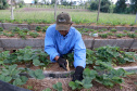 O Instituto de Tecnologia do Paraná já certificou cerca de 700 produtores paranaenses por meio do Paraná Mais Orgânico, desde 2009. O programa do Governo do Estado orienta agricultores familiares interessados em produzir alimentos orgânicos e certifica aqueles que já seguem as técnicas de manejo desta modalidade de produção. Foto: Tecpar