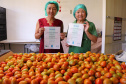 O Instituto de Tecnologia do Paraná já certificou cerca de 700 produtores paranaenses por meio do Paraná Mais Orgânico, desde 2009. O programa do Governo do Estado orienta agricultores familiares interessados em produzir alimentos orgânicos e certifica aqueles que já seguem as técnicas de manejo desta modalidade de produção. Foto: Tecpar