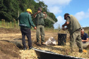 Fiscais da regional do Instituto Água e Terra (IAT) de Curitiba realizaram (do dia 11 ao 15) operação para coibir a pesca ilegal na Represa Capivari Cachoeira, nos municípios de Campina Grande do Sul e Bocaiúva do Sul.  Foto: IAT