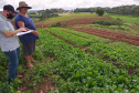 A Ceasa Paraná e o Instituto de Desenvolvimento Rural do Paraná - Iapar-Emater firmaram um termo de cooperação técnica financeira para ações integradas voltadas ao desenvolvimento rural e a inserção de agricultores familiares no processo de comercialização de hortigranjeiros.  -  Foto: Divulgação IDR/Ceasa Paraná