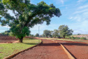 Parque Urbano em Campo Mourão. 02-2021
