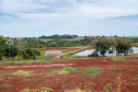 Parque Urbano em Juranda. 02-2021