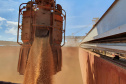 O movimento de caminhões que descarregam o produto nos terminais paranaenses se intensifica e deve chegar aos 2 mil veículos por dia, a partir da primeira semana de março. A expectativa é receber cerca de 2 milhões de toneladas no mês.  -  paranaguá, 23/02/2021  -  Foto: Claudio Neves/Portos do Paraná