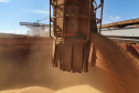 O movimento de caminhões que descarregam o produto nos terminais paranaenses se intensifica e deve chegar aos 2 mil veículos por dia, a partir da primeira semana de março. A expectativa é receber cerca de 2 milhões de toneladas no mês.  -  paranaguá, 23/02/2021  -  Foto: Claudio Neves/Portos do Paraná