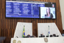 SEFA- Adiencia Publica na Assembleia Legislativa. Foto: Ari Dias/AEN