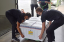 As doses chegaram no aeroporto de São José dos Pinhais na manhã desta quarta-feira e já foram encaminhadas para o Cemepar para o registro, armazenamento em câmara fria com temperatura entre 2 e 8 graus e organização para distribuição entre as Regionais de Saúde do Estado.  Foto: Antonio Americo/SESA