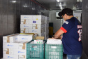 As doses chegaram no aeroporto de São José dos Pinhais na manhã desta quarta-feira e já foram encaminhadas para o Cemepar para o registro, armazenamento em câmara fria com temperatura entre 2 e 8 graus e organização para distribuição entre as Regionais de Saúde do Estado.  Foto: Antonio Americo/SESA