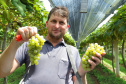 Produtor de uvas Renato Sandi. Bituruna - 02-2021