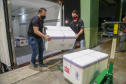 A Secretaria de Estado da Saúde recebeu na noite desta quarta-feira (24) uma remessa com 64.800 doses da vacina CoronaVac/Instituto Butantan  Foto: Valdelino Pontes