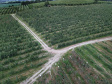 DCIM\100MEDIA\DJI_0979.JPG
