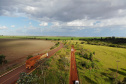 Visita do grupo técnico ao ponto de ligação da nova Ferroeste com a malha oeste.
Foto Gilson Abreu/AEN