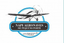 A Fundação Araucária realiza na próxima segunda-feira (29), a partir das 10h, a cerimônia online de lançamento do NAPI ? Aeronaves de Pequeno Porte. O objetivo é de instituir uma cooperação técnico-científica que promova a constituição de programas, projetos e atividades no campo da pesquisa, ensino, produção e inovação.  -  Curitiba, 23/03/2021  -  Foto: Divulgação Fundação Araucária