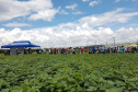 Produtores de feijão e milho interessados em melhorar a produtividade das suas lavouras estão convidados a participar de um Dia de Campo Virtual, nos dias 30 e 31. A atividade é parte da ação do Projeto Centro-Sul de Feijão e Milho, uma parceria entre a Syngenta e o IDR-Paraná (Instituto de Desenvolvimento Rural do Paraná-Iapar-Emater). -  Curitiba, 29/03/2021  -  Foto: Divulgação IDR