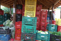 O Governo do Paraná firma contratos com cerca de 180 cooperativas e associações de pequenos agricultores para garantir a entrega de produtos da agricultura familiar nas mais de 2,1 mil escolas estaduais.  -  Foto: Cooperativa Agropecuária Matoriquense (Coamar), de Mato Rico