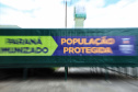 O Paraná recebeu nesta quinta-feira (1º) o 11° lote de vacinas contra Covid-19 do Ministério da Saúde. São 492.200 doses da Coronavac, produzida pela Sinovac e Instituto Butantan, e 33.250 doses da Covishield, produzida pela Universidade de Oxford com AstraZeneca e Fundação Oswaldo Cruz (Fiocruz).Foto: José Fernando Ogura/AEN