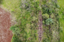 Nova Ferroeste vai entregar mais economia, rapidez e maior eficiência. Na foto,  ponto de ligação da nova Ferroeste com a malha oeste.
Foto Gilson Abreu/AEN