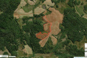 O Estado do Paraná, através do Instituto Água e Terra (IAT), deve intensificar a emissão de multas remotas neste ano, utilizando como base ferramentas via satélite.  -  Curitiba, 23/04/2021  -  Foto: Divulgação Sedest/IAT - capturas da plataforma MapBiomas