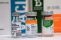 O Governo do Estado começou a distribuir sexta-feira (23) para as 22 Regionais de Saúde do Paraná mais 205.130 doses da vacina contra a Covid-19. Os imunizantes integram o 14º lote encaminhado pelo Ministério da Saúde na quinta-feira (22), composto por 166.000 doses da Covishield, produzida pela Universidade de Oxford/AstraZeneca/Fiocruz, e 39.130 doses da CoronaVac, desenvolvida pelo Instituto Butantan/Sinovac. - Curitiba, 23/04/2021  -   Foto: Américo Antonio/SESA