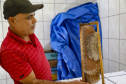 Produção de mel.
Ortigueira - Pr
Foto: Gilson Abreu/AEN