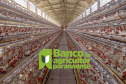 Banco do Agricultor Paranaense marca nova aposta do Estado no agronegócio. Foto: Gilson Abreu/AEN