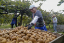 Plantação de kiwi.
Antonio Olinto-Pr
Foto: Gilson Abreu/AEN