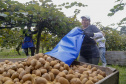 Plantação de kiwi.
Antonio Olinto-Pr
Foto: Gilson Abreu/AEN