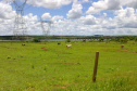 Campanha de atualização de rebanhos começa em 1º de maio  -  Curitiba, 29/04/2021  -    Fot: Adapar/SEAB