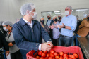 Governo comemora um ano do Banco de Alimentos da Ceasa Paraná - Foto: Valdelino Pontes