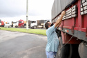 Neste dia 1º de maio, Dia do Trabalhador, a Portos do Paraná destaca a importância do trabalho portuário para a manutenção de diversas atividades econômicas no Estado, direta ou indiretamente.  -  Fotos: Arquivo/ Claudio Neves/Portos do Paraná