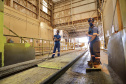 Neste dia 1º de maio, Dia do Trabalhador, a Portos do Paraná destaca a importância do trabalho portuário para a manutenção de diversas atividades econômicas no Estado, direta ou indiretamente.  -  Fotos: Arquivo/ Claudio Neves/Portos do Paraná