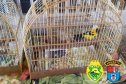 Policiais militares da 5ª Companhia do Batalhão de Polícia Ambiental Força Verde (BPAmb-Fv) resgataram 116 pássaros silvestres, de diversas raças, visto que seu proprietário não possuía documentação legal para criá-los. A ação foi conduzida no município de Pato Branco, no Sudoeste do Paraná, nesta terça-feira (04/05).  -  Foto: SESP/PR