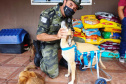 Nesta semana, instituições e famílias paranaenses em situação de vulnerabilidade social receberam mais de 5,6 toneladas de alimentos, 1,6 tonelada de ração para cães e gatos e 221 litros de álcool para higienização das mãos, que foram arrecadados durante a campanha Aniversário Solidário do Batalhão de Polícia Ambiental Força-Verde (BPAmb-FV).   -  Curitiba, 05/05/2021  -  Foto: SESP/PR