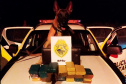 A eficácia dos serviços executados pela Companhia de Operações com Cães (COC) do Batalhão de Operações Especiais (BOPE) da Polícia Militar do Paraná (PMPR) elevou os números de apreensões de drogas e armas de fogos nos últimos 16 meses