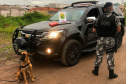 A eficácia dos serviços executados pela Companhia de Operações com Cães (COC) do Batalhão de Operações Especiais (BOPE) da Polícia Militar do Paraná (PMPR) elevou os números de apreensões de drogas e armas de fogos nos últimos 16 meses