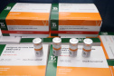 O Paraná recebeu neste sábado (08) mais 57.800 doses da vacina contra a Covid-19. O imunizante é o CoronaVac, produzido em parceria pela farmacêutica chinesa Sinovac e o Instituto Butantan, de São Paulo.  Foto:Ari Dias/AEN