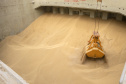 As importações puxaram a movimentação de cargas pelos portos do Paraná no primeiro quadrimestre do ano. Com altas significativas na descarga de produtos dos segmentos de Carga Geral e Granéis Sólidos, os terminais de Paranaguá e Antonina movimentaram 18.262.189 toneladas, de janeiro a abril. - Paranaguá, 10/05/2021  -  Foto: Claudio Neves/Portos do Paraná