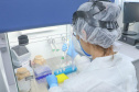 A Universidade Estadual de Ponta Grossa (UEPG), por meio do Laboratório Universitário de Análises Clínicas (Luac), iniciou na manhã desta quarta-feira (12) as testagens da Covid-19 com o método RT-PCR. O início dos testes acontece após a autorização da Vigilância Sanitária e do Laboratório Central do Estado do Paraná (Lacen). Ponta Grossa, 12/05/2021  -  Foto: Jéssica Natal/UEPG
