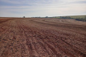 Em 15 de maio, o Paraná dá início ao combate à ferrugem asiática da soja. Nesta data termina o prazo para a colheita ou dessecação da oleaginosa, com o objetivo de preparar as áreas de cultivo para o vazio sanitário, período no qual é proibido semear ou manter plantas vivas de soja no campo.  -  Curitiba, 14/05/2021   - Foto: Camila Roberta Javorski Ueno/Adapar